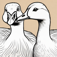 Ausmalbild Gänse 2